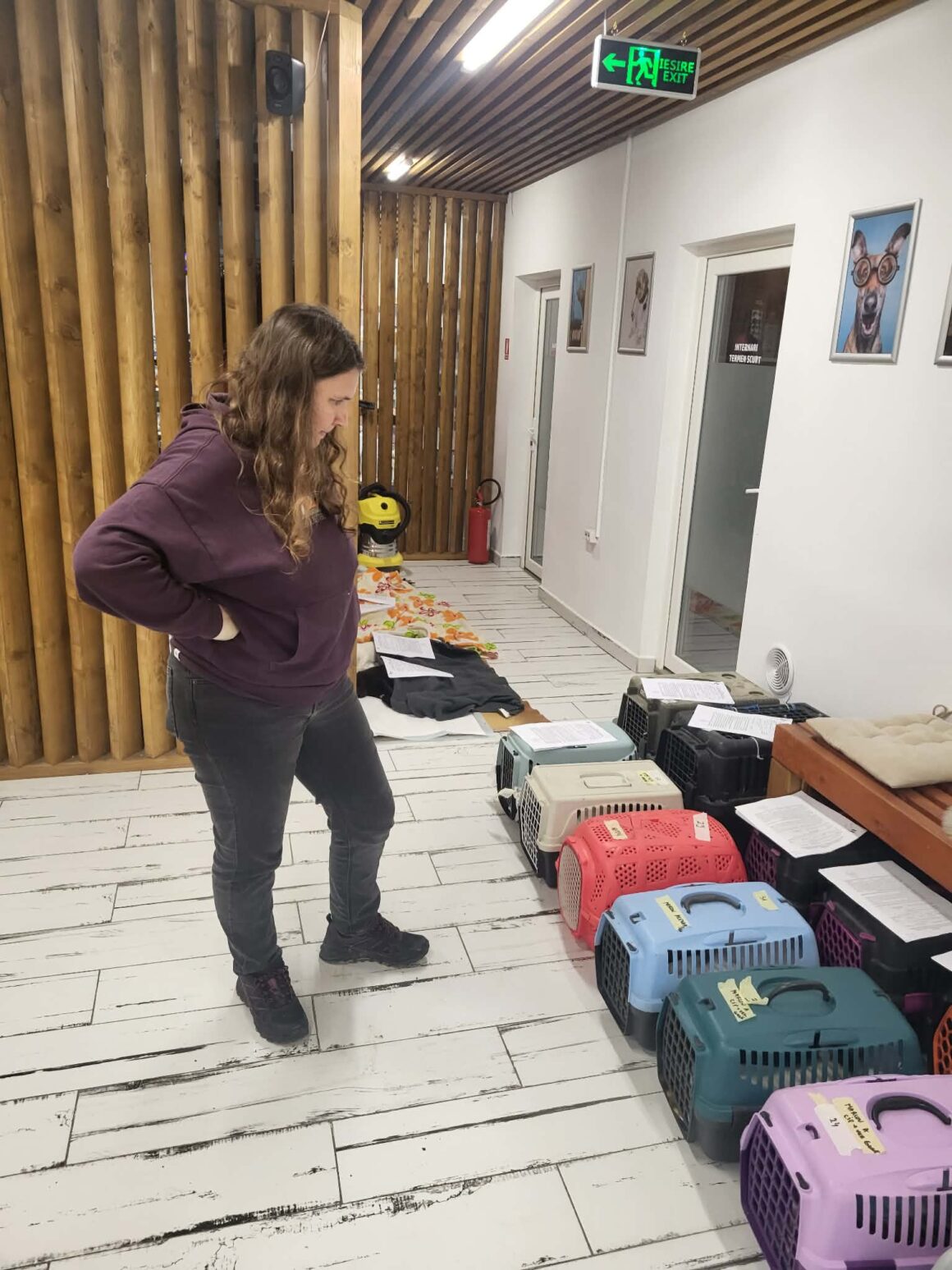 the-great-catsby-photo_26 🔊SPRING SPAYATHON COMPLETE 🐾