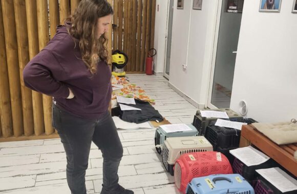 🔊SPRING SPAYATHON COMPLETE 🐾