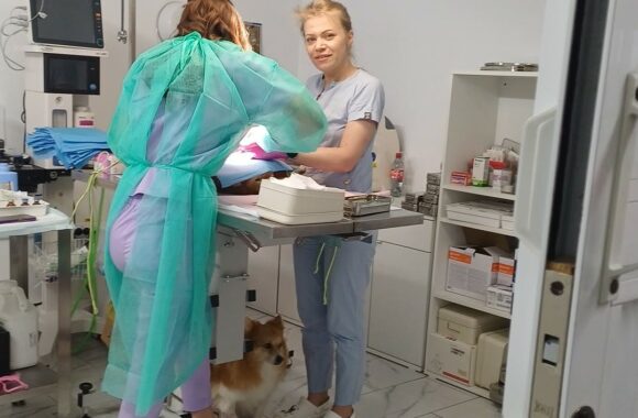 🔊SPRING SPAYATHON COMPLETE 🐾