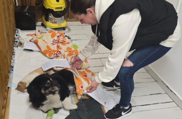 🔊SPRING SPAYATHON COMPLETE 🐾