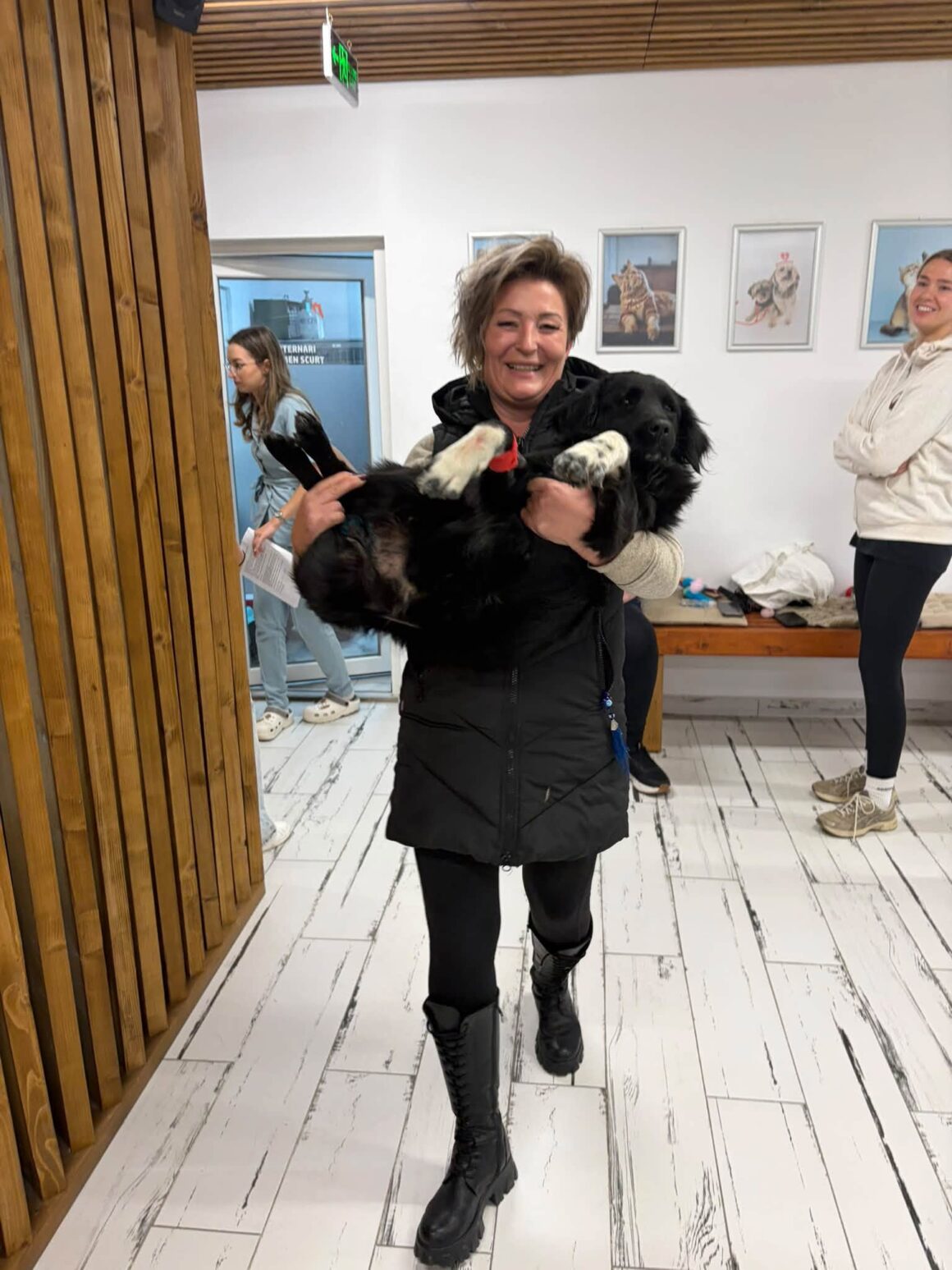 🧡 121 CATS & DOGS SPAYED AND NEUTERED IN TWO DAYS! 🐾 … & more 🧡