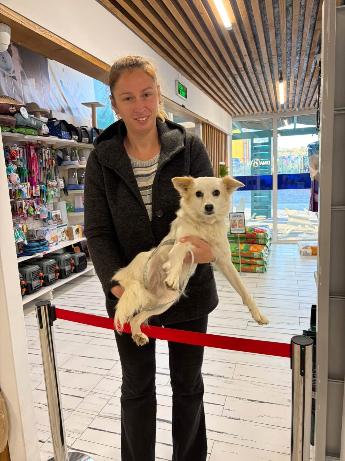🧡 121 CATS & DOGS SPAYED AND NEUTERED IN TWO DAYS! 🐾 … & more 🧡