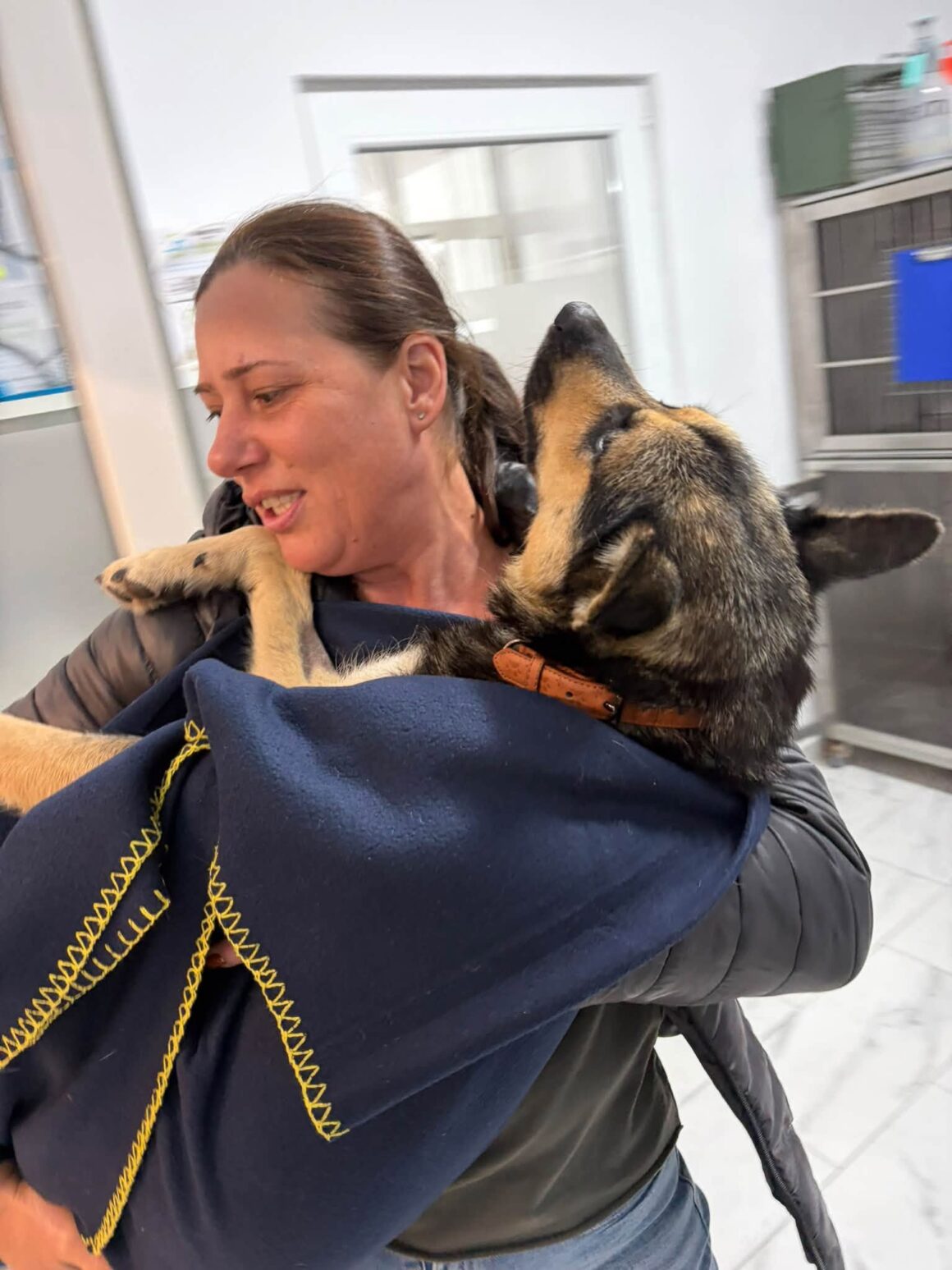 🧡 121 CATS & DOGS SPAYED AND NEUTERED IN TWO DAYS! 🐾 … & more 🧡
