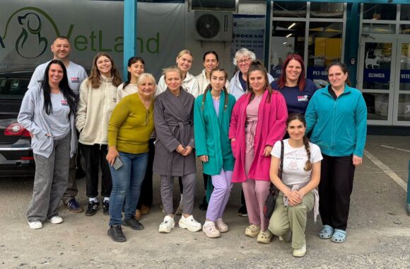 the-great-catsby-855000920_1648255656896218_6464989997984714284_n 🧡 121 CATS & DOGS SPAYED AND NEUTERED IN TWO DAYS! 🐾 … & more 🧡