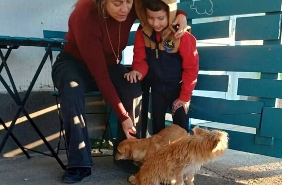 the-great-catsby-photo_1 🐾 OCTOBER SPAY & NEUTER UPDATE – 106 animals neutered in Tulcea so far this month. And we’re not stopping! 🧡