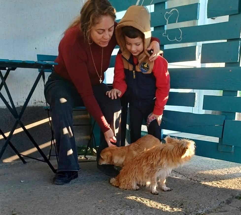 🐾 OCTOBER SPAY & NEUTER UPDATE – 106 animals neutered in Tulcea so far this month. And we’re not stopping! 🧡