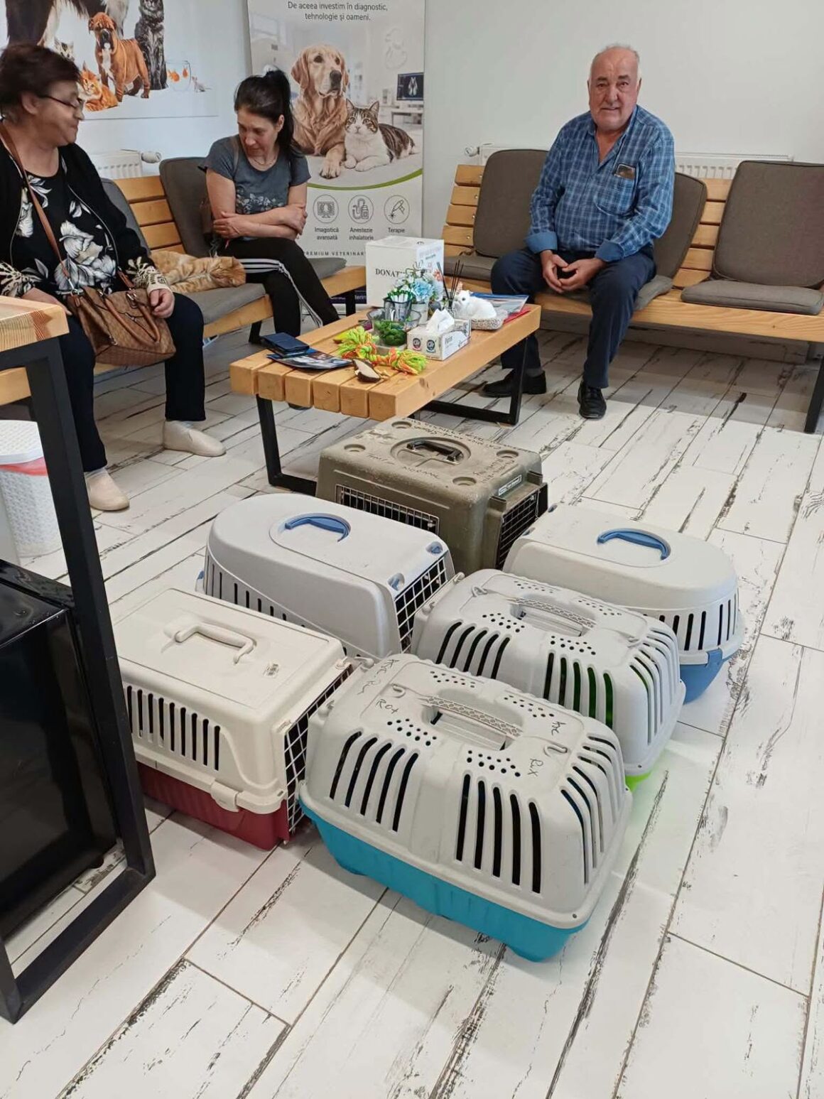 🐾 OCTOBER SPAY & NEUTER UPDATE – 106 animals neutered in Tulcea so far this month. And we’re not stopping! 🧡