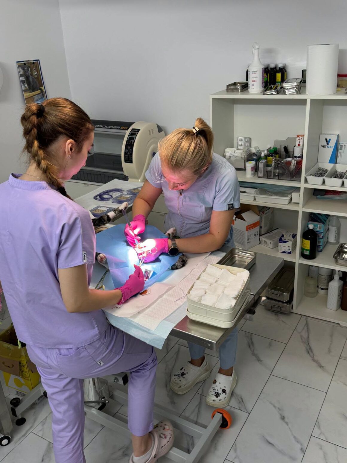 🐾 OCTOBER SPAY & NEUTER UPDATE – 106 animals neutered in Tulcea so far this month. And we’re not stopping! 🧡